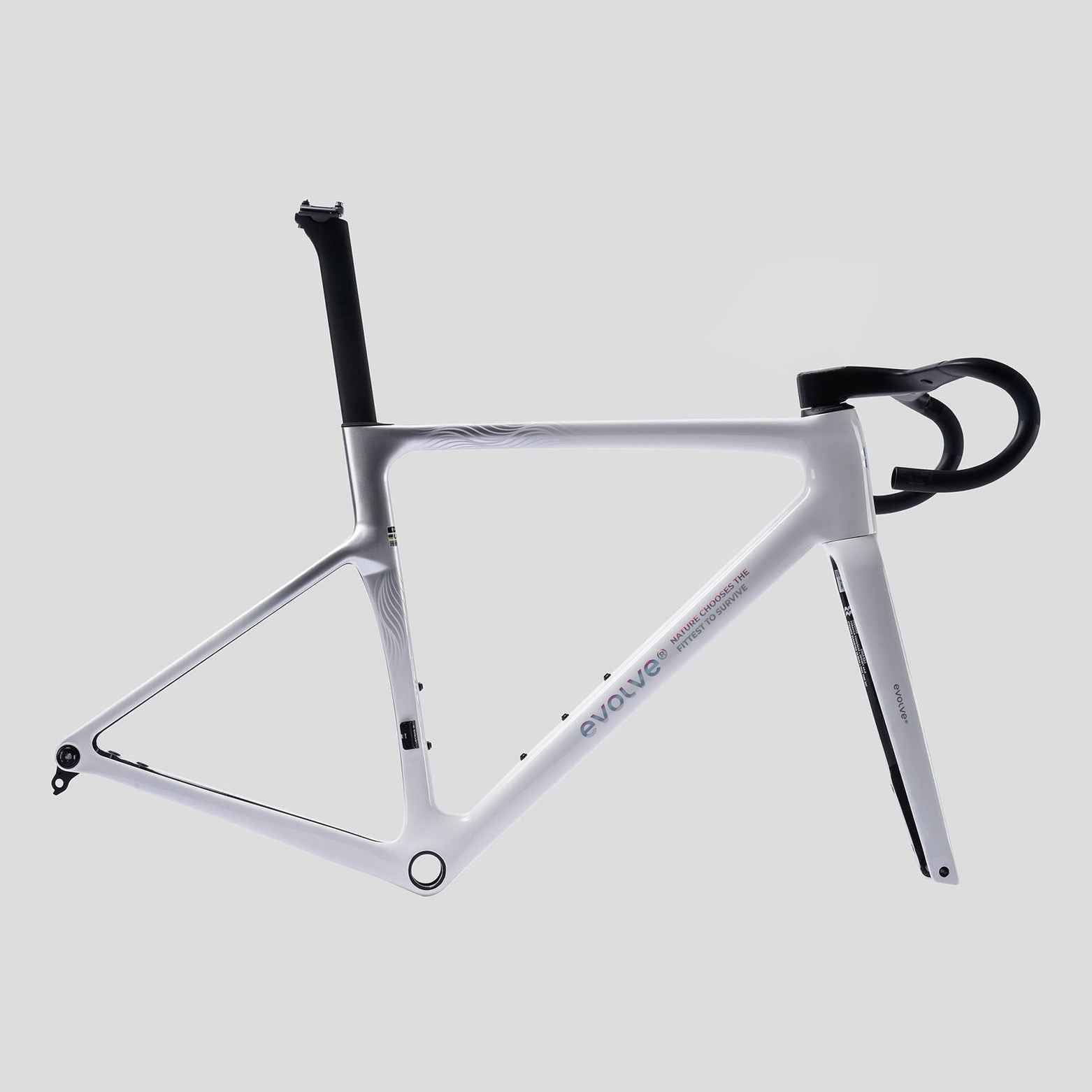 Evolve CIMA Special Edition Billow Frameset – Premium Carbon Road Frame
