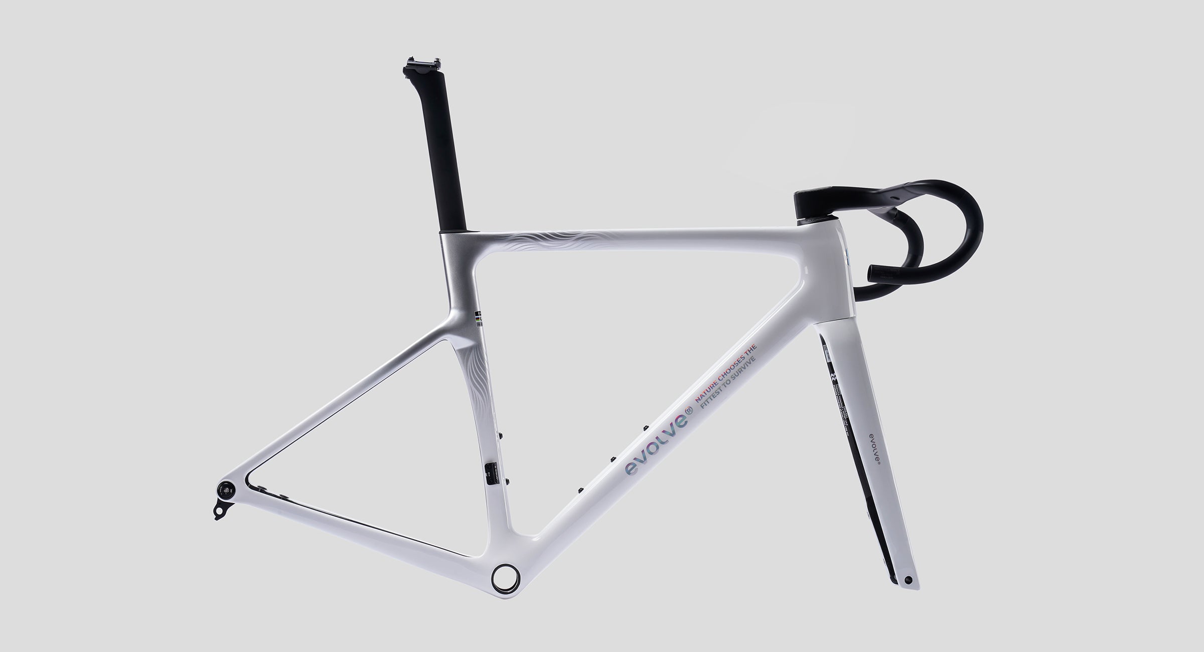 Evolve - CIMA Special Edition Billow